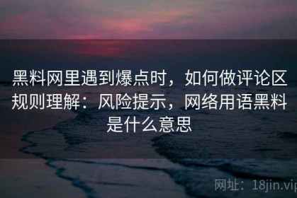 黑料网里遇到爆点时，如何做评论区规则理解：风险提示，网络用语黑料是什么意思
