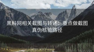 黑料网相关截图与转述：重点做截图真伪核验路径