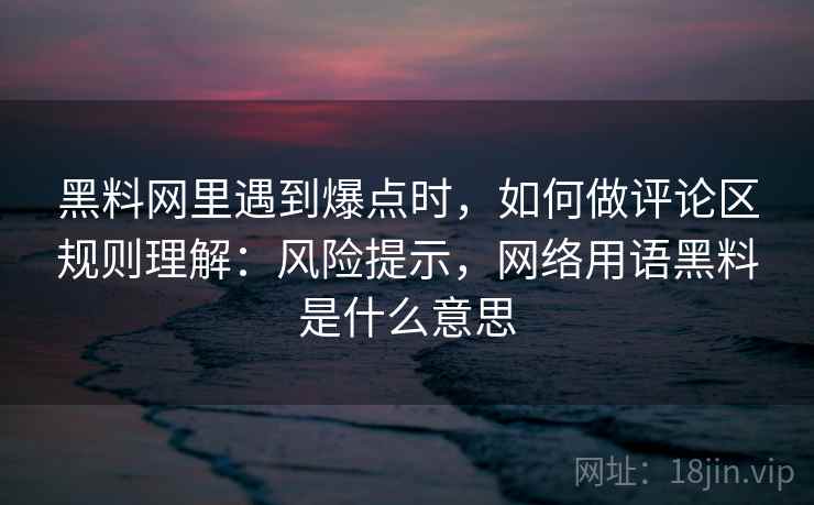黑料网里遇到爆点时，如何做评论区规则理解：风险提示，网络用语黑料是什么意思