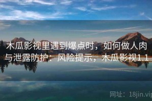 木瓜影视里遇到爆点时，如何做人肉与泄露防护：风险提示，木瓜影视1.1