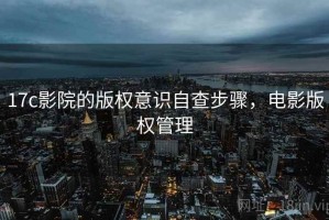 17c影院的版权意识自查步骤，电影版权管理