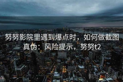 努努影院里遇到爆点时，如何做截图真伪：风险提示，努努t2