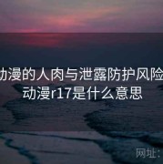 17c 动漫的人肉与泄露防护风险提示，动漫r17是什么意思