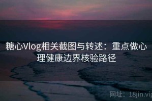 糖心Vlog相关截图与转述：重点做心理健康边界核验路径