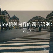 糖心Vlog相关内容的谣言识别：入门要点