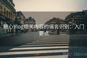 糖心Vlog相关内容的谣言识别：入门要点