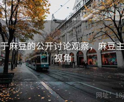 关于麻豆的公开讨论观察，麻豆主观视角