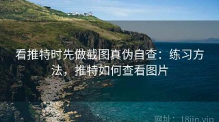 看推特时先做截图真伪自查：练习方法，推特如何查看图片