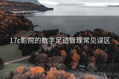17c影院的数字足迹管理常见误区