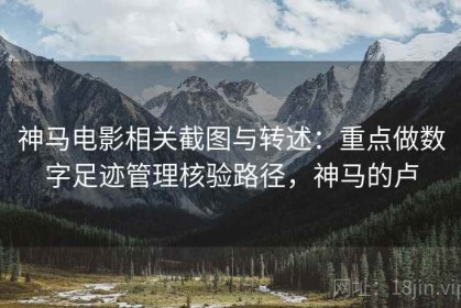神马电影相关截图与转述：重点做数字足迹管理核验路径，神马的卢