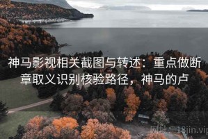 神马影视相关截图与转述：重点做断章取义识别核验路径，神马的卢