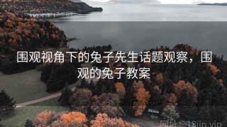 围观视角下的兔子先生话题观察，围观的兔子教案