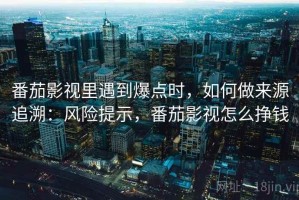 番茄影视里遇到爆点时，如何做来源追溯：风险提示，番茄影视怎么挣钱