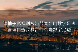 读柚子影视别被带节奏：用数字足迹管理自查步骤，什么是数字足迹