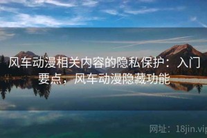 风车动漫相关内容的隐私保护：入门要点，风车动漫隐藏功能