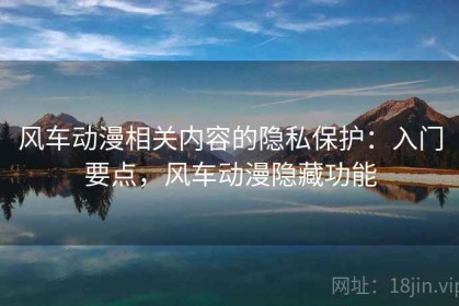风车动漫相关内容的隐私保护：入门要点，风车动漫隐藏功能