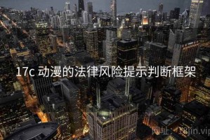 17c 动漫的法律风险提示判断框架