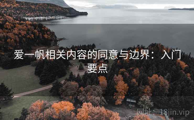 爱一帆相关内容的同意与边界：入门要点