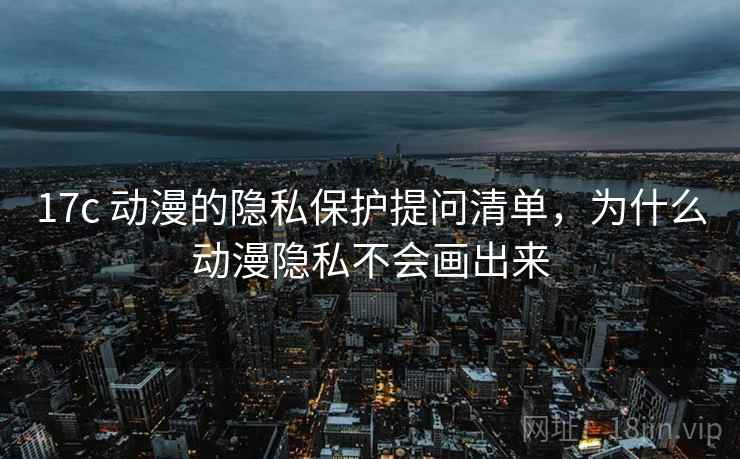 17c 动漫的隐私保护提问清单，为什么动漫隐私不会画出来