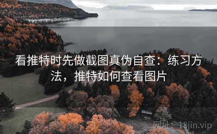 看推特时先做截图真伪自查：练习方法，推特如何查看图片