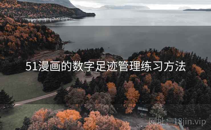 51漫画的数字足迹管理练习方法