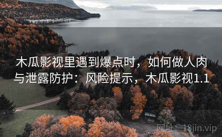 木瓜影视里遇到爆点时，如何做人肉与泄露防护：风险提示，木瓜影视1.1