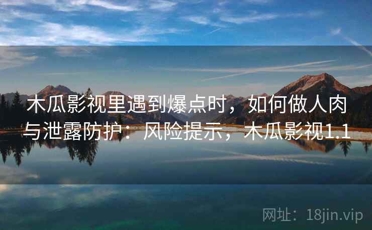 木瓜影视里遇到爆点时，如何做人肉与泄露防护：风险提示，木瓜影视1.1
