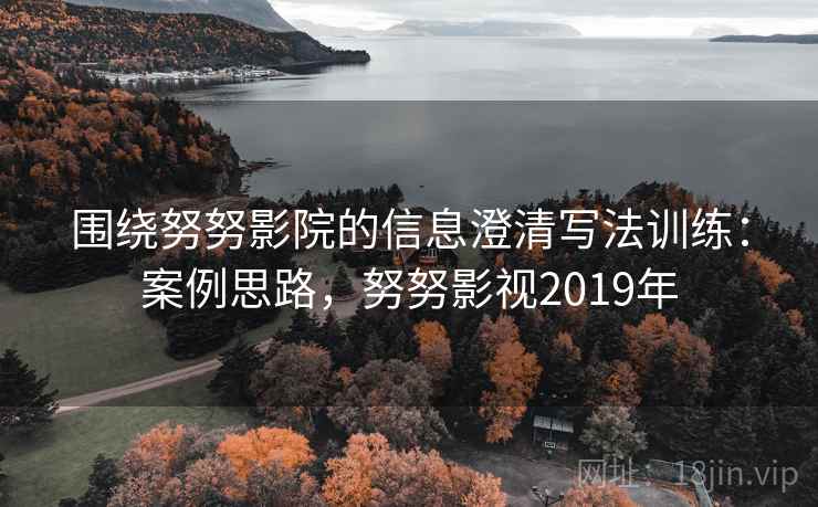 围绕努努影院的信息澄清写法训练：案例思路，努努影视2019年