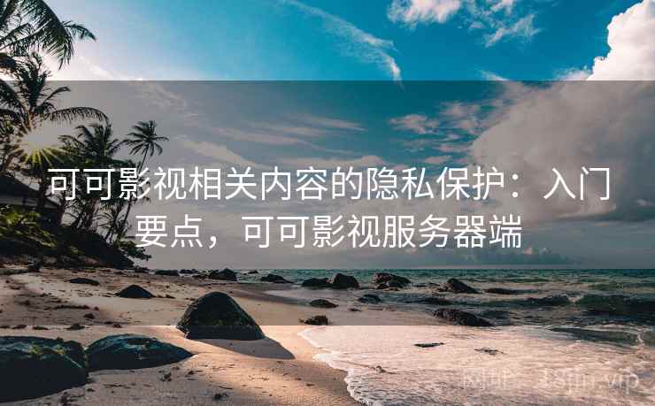 可可影视相关内容的隐私保护：入门要点，可可影视服务器端