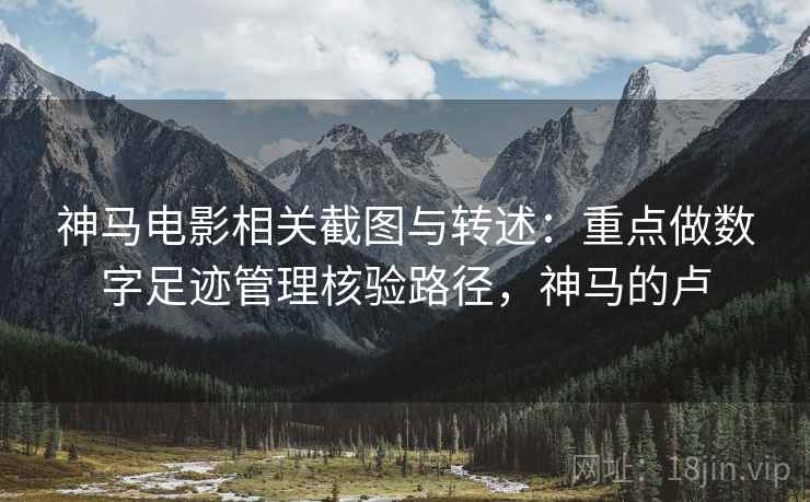 神马电影相关截图与转述：重点做数字足迹管理核验路径，神马的卢