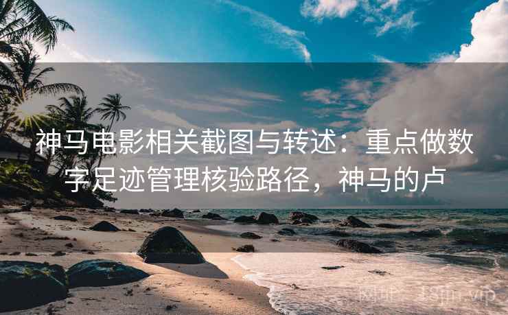 神马电影相关截图与转述：重点做数字足迹管理核验路径，神马的卢